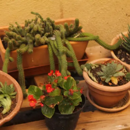 Casa Ernesto-amica Dei Ciclisti Acquasparta