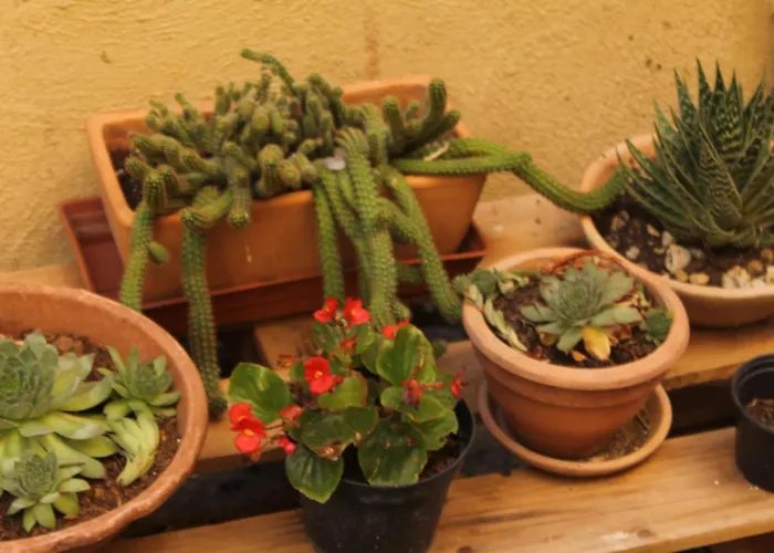 Casa Ernesto-amica Dei Ciclisti Acquasparta